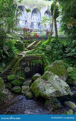  龍鳳山！壮大な自然と神秘的な寺院が織りなす絶景を体感せよ！