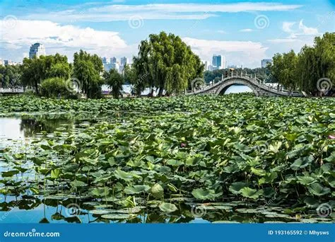 南湖公園、歴史と自然が調和する憩いの場！